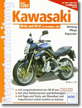 Kawasaki ER-6N depuis 2006